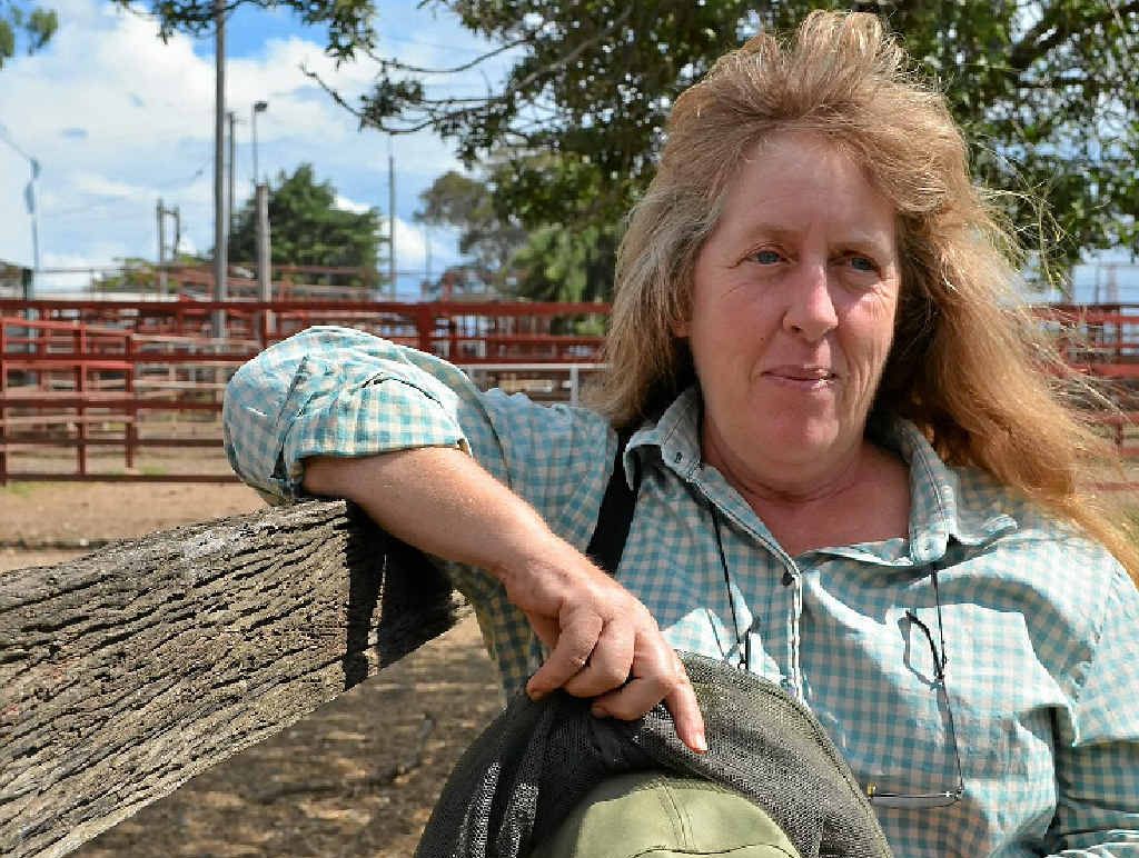 ON THE RAILS: Thanes Creek sheep producer Fiona Shay the fight to combat the wild dog problem on her property is consuming 40% of her time, not to mention the financial impact on her operation.